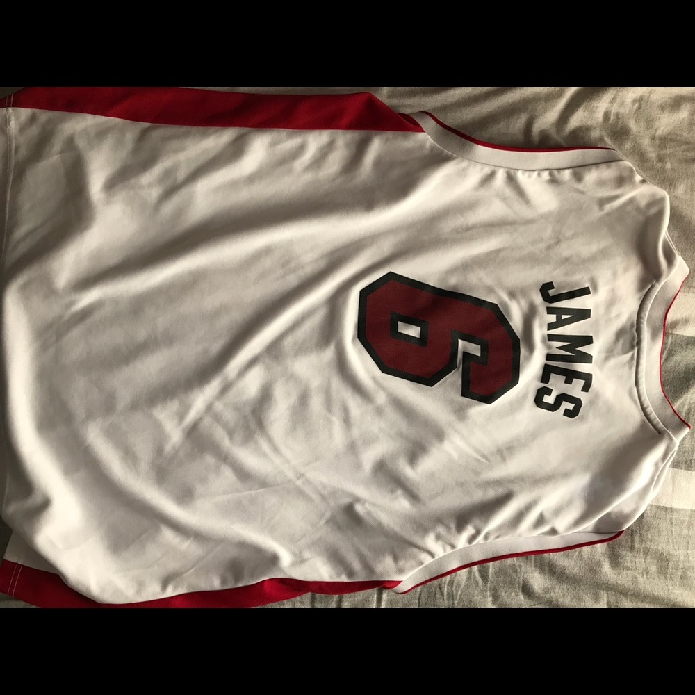 COPY - Lebron James Jersey (Miami Heat)